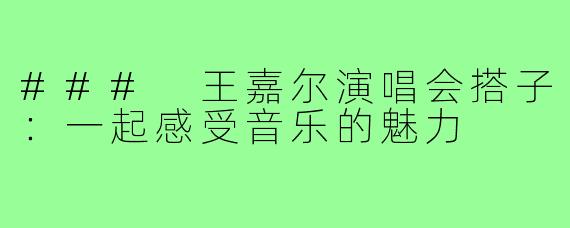 ### 王嘉尔演唱会搭子:一起感受音乐的魅力