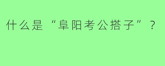 什么是“阜阳考公搭子”？  