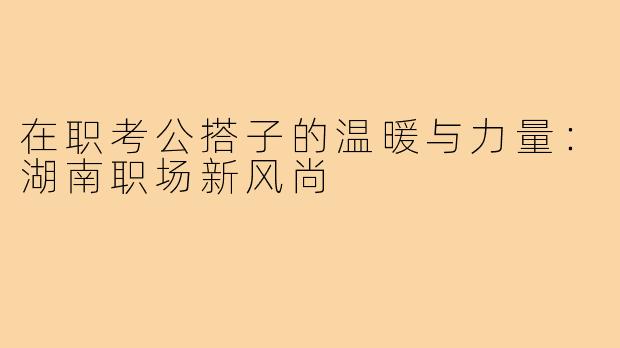 在职考公搭子的温暖与力量:湖南职场新风尚