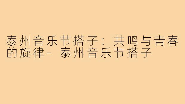 泰州音乐节搭子:共鸣与青春的旋律-泰州音乐节搭子