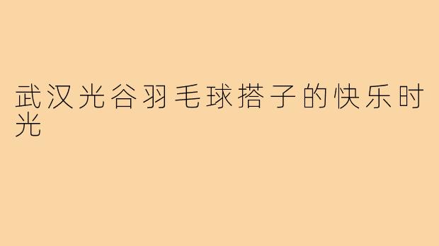 武汉光谷羽毛球搭子的快乐时光