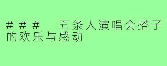 ### 五条人演唱会搭子的欢乐与感动