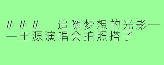 ### 追随梦想的光影——王源演唱会拍照搭子