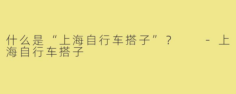 什么是“上海自行车搭子”? -上海自行车搭子