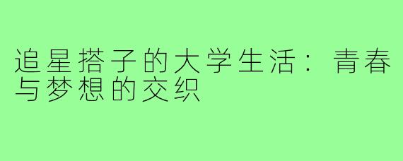 追星搭子的大学生活：青春与梦想的交织