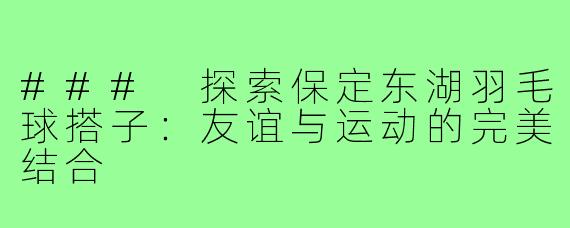 ### 探索保定东湖羽毛球搭子:友谊与运动的完美结合