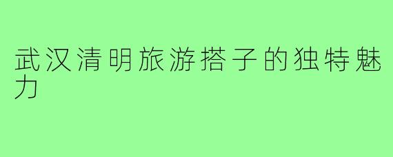 武汉清明旅游搭子的独特魅力