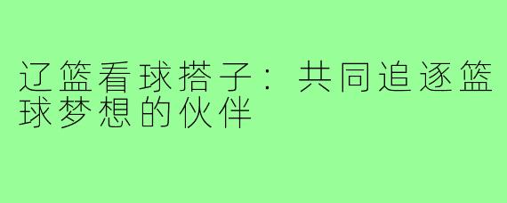 辽篮看球搭子:共同追逐篮球梦想的伙伴