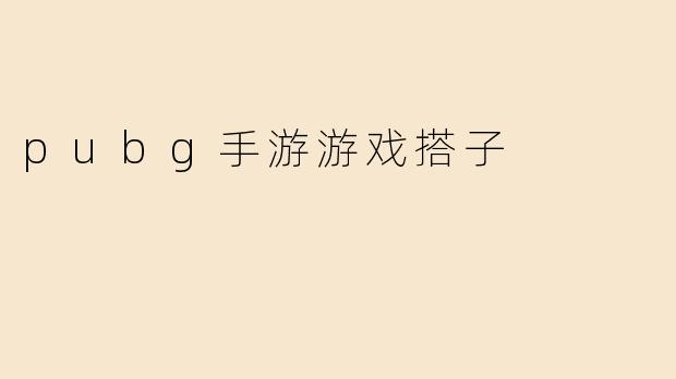 pubg手游游戏搭子
