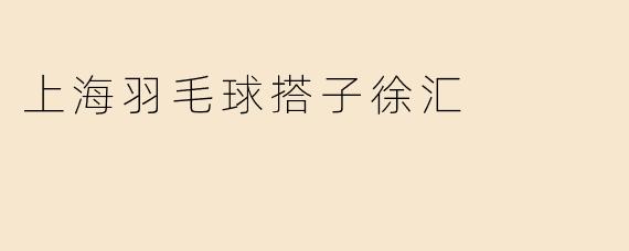 上海羽毛球搭子徐汇