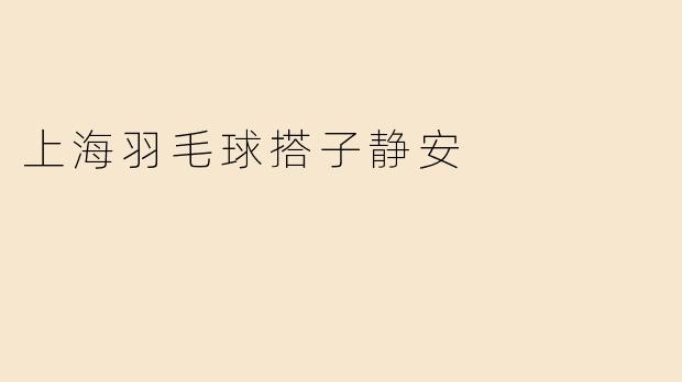 上海羽毛球搭子静安