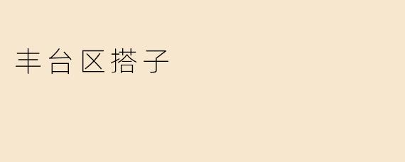 丰台区的搭子是指什么？