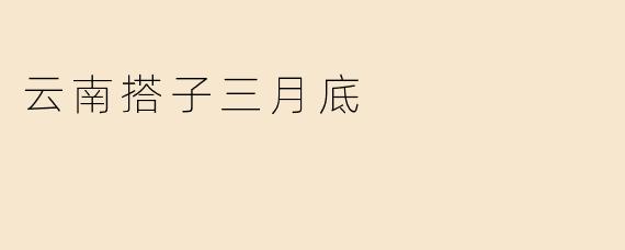 云南搭子三月底