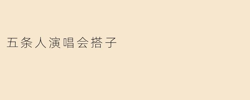 五条人演唱会搭子