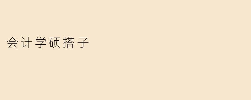 会计学硕搭子
