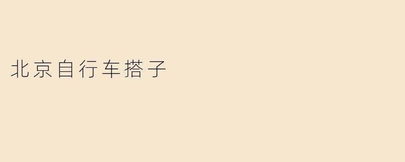 北京自行车搭子