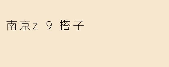 南京z9搭子