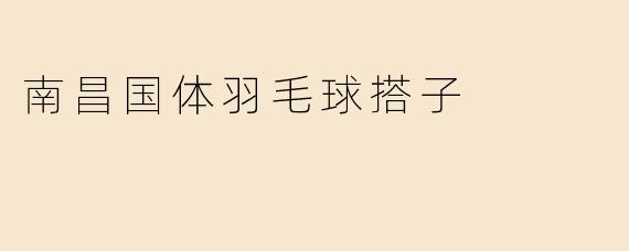 南昌国体羽毛球搭子