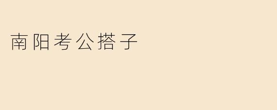南阳考公搭子