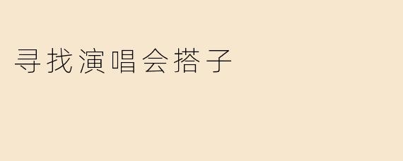寻找演唱会搭子：共赏音乐之美
