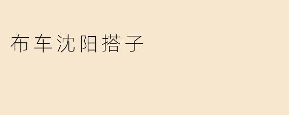 布车沈阳搭子
