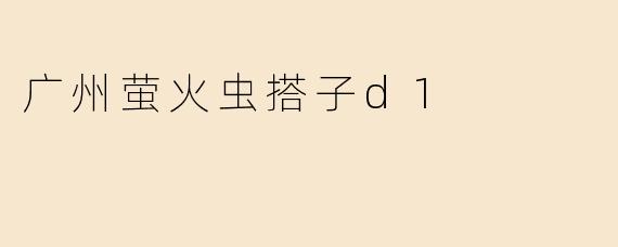 广州萤火虫搭子d1
