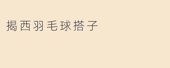 揭西羽毛球搭子
