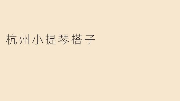 杭州小提琴搭子