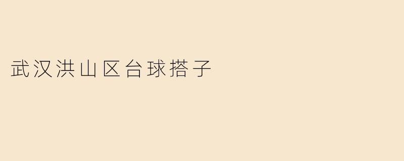 武汉洪山区台球搭子