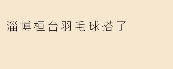 淄博桓台的羽毛球搭子有哪些特点？