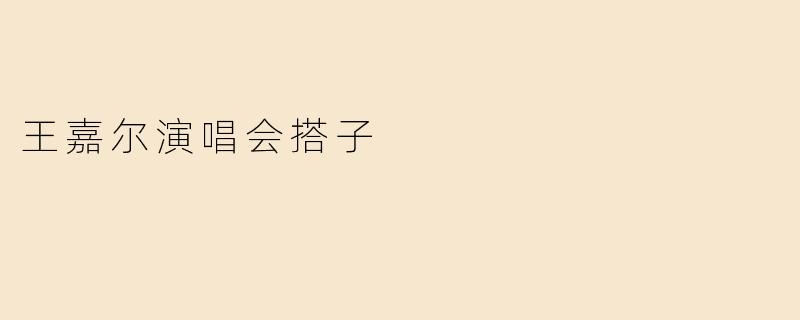 王嘉尔演唱会搭子