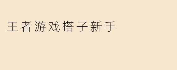 王者游戏搭子新手