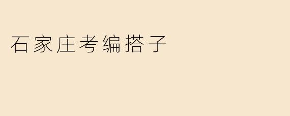 石家庄考编搭子