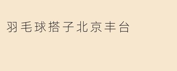 羽毛球搭子北京丰台