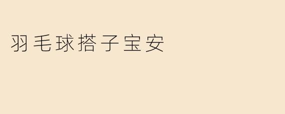 ### 探索羽毛球搭子——宝安的运动新选择