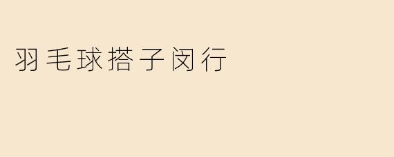 羽毛球搭子闵行