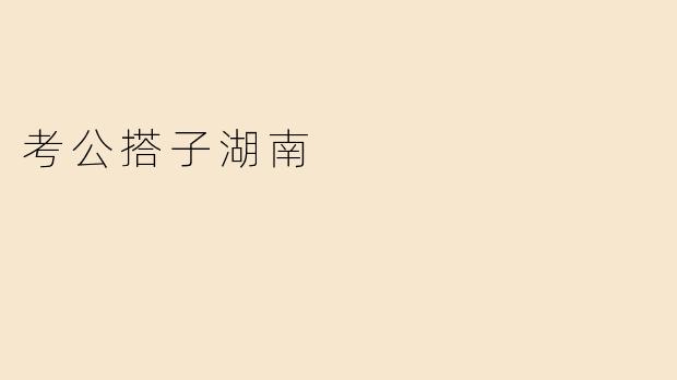 考公搭子湖南