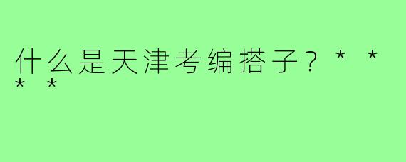 什么是天津考编搭子？****