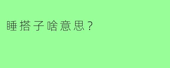 睡搭子啥意思?