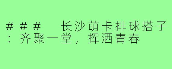 ### 长沙萌卡排球搭子:齐聚一堂,挥洒青春