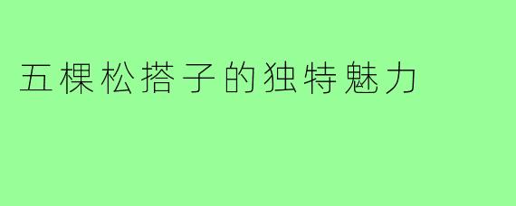 五棵松搭子的独特魅力