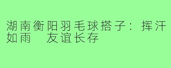 湖南衡阳羽毛球搭子:挥汗如雨 友谊长存