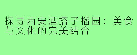 探寻西安酒搭子榴园:美食与文化的完美结合