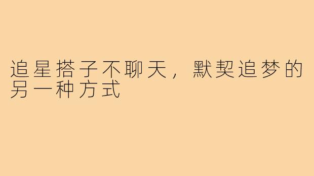 追星搭子不聊天,默契追梦的另一种方式