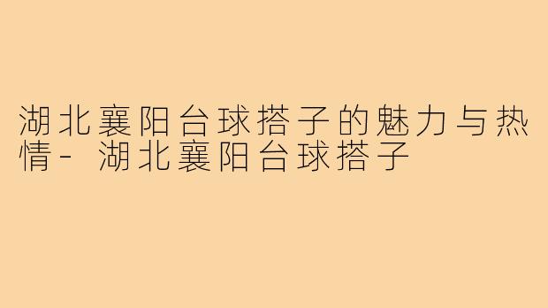湖北襄阳台球搭子的魅力与热情-湖北襄阳台球搭子