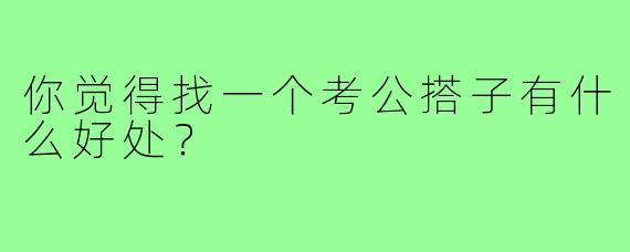 你觉得找一个考公搭子有什么好处？