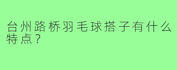台州路桥羽毛球搭子有什么特点？  