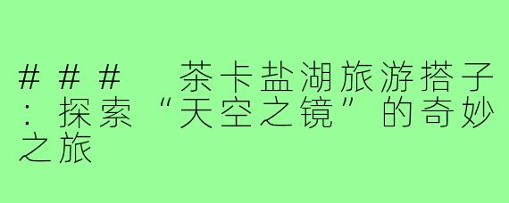 ### 茶卡盐湖旅游搭子：探索“天空之镜”的奇妙之旅
