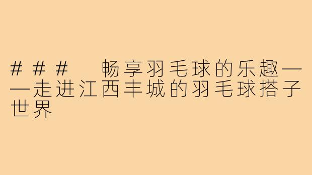 ### 畅享羽毛球的乐趣——走进江西丰城的羽毛球搭子世界