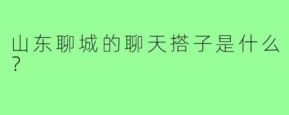 山东聊城的聊天搭子是什么？  